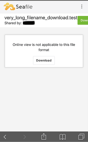 IMG_20190620_211036_1048