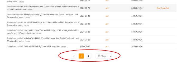螢幕擷取畫面 2024-07-20 181209